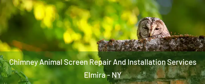  Chimney Animal Screen Repair And Installation Services Elmira - NY