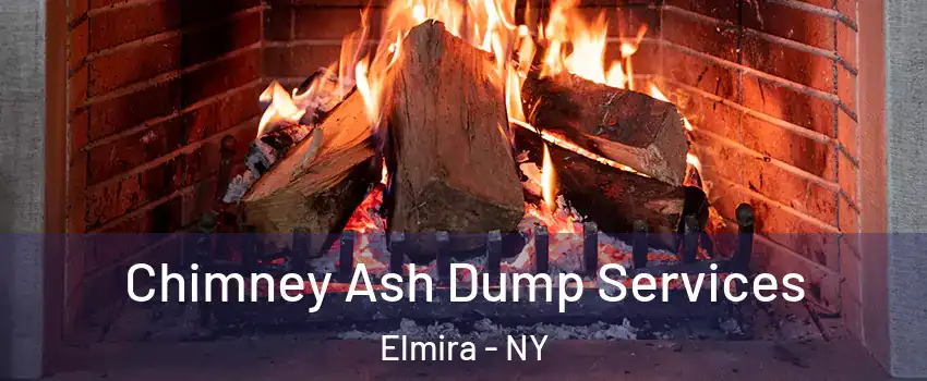  Chimney Ash Dump Services Elmira - NY