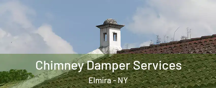  Chimney Damper Services Elmira - NY