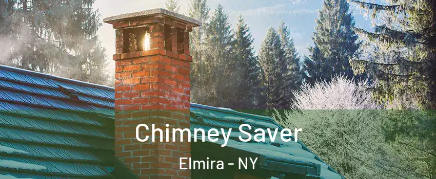  Chimney Saver Elmira - NY