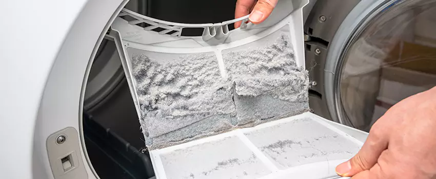 Best Dryer Lint Removal Company in Elmira, New York