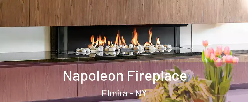  Napoleon Fireplace Elmira - NY